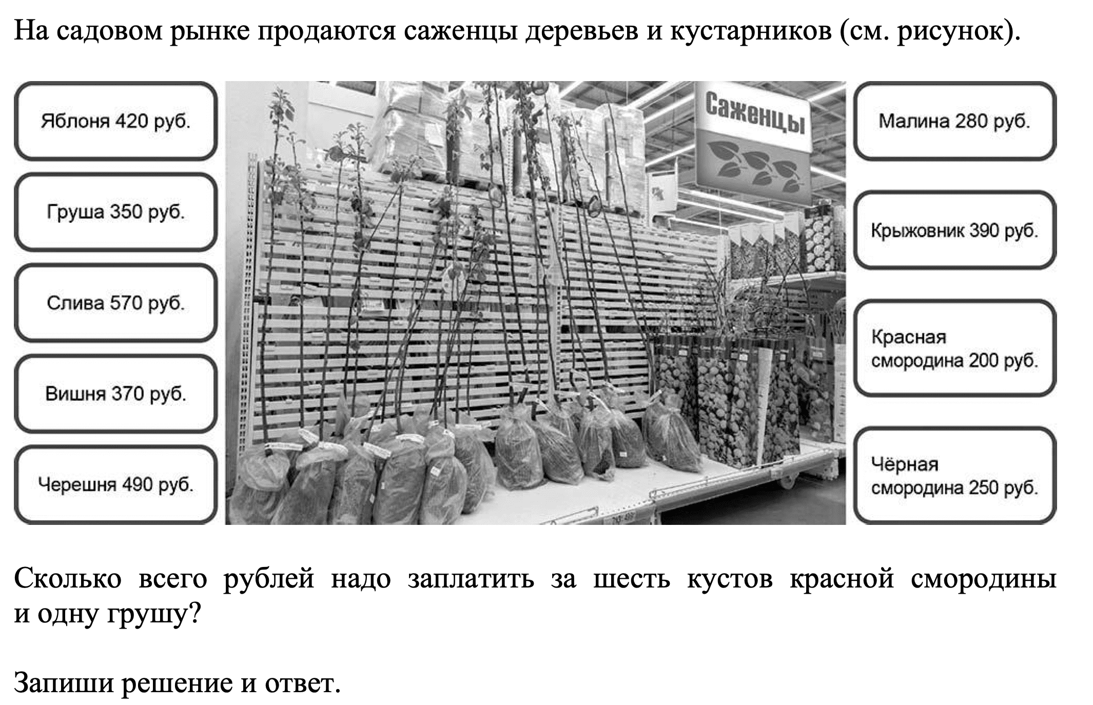 Дерево живое существо впр 4 класс ответы. На садовом рынке продаются саженцы ответы на задачу класс 4 в Морозова.